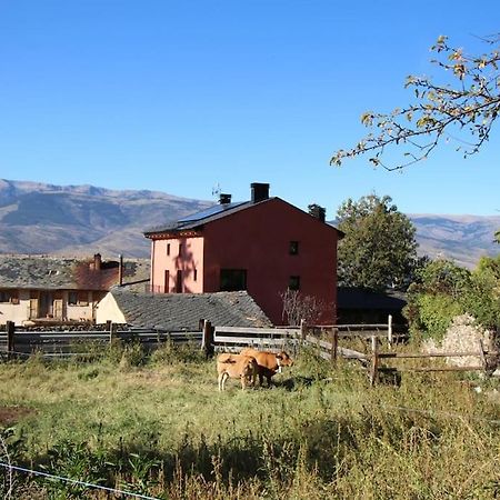 Cal Barne, Acogedor Alojamiento Con Jardin En Das Apartman Kültér fotó