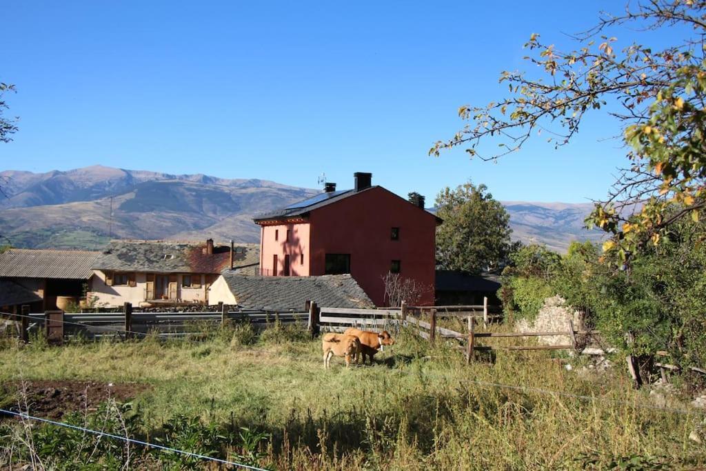 Cal Barne, Acogedor Alojamiento Con Jardin En Das Apartman Kültér fotó