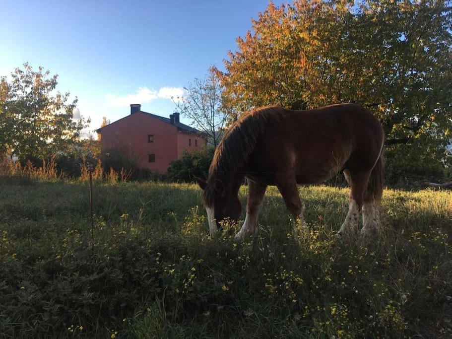 Cal Barne, Acogedor Alojamiento Con Jardin En Das Apartman Kültér fotó